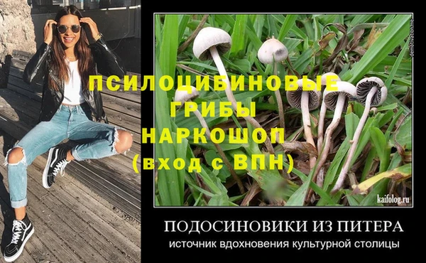 соль ск Аркадак