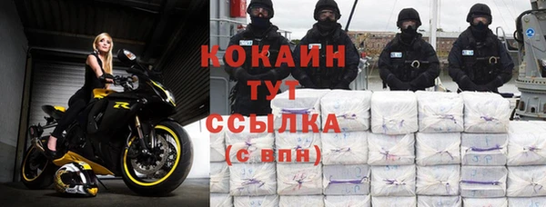 гашик Арсеньев