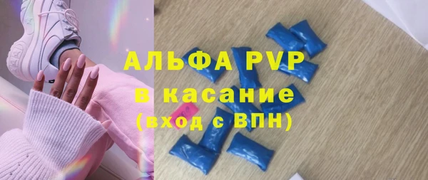 гашик Арсеньев